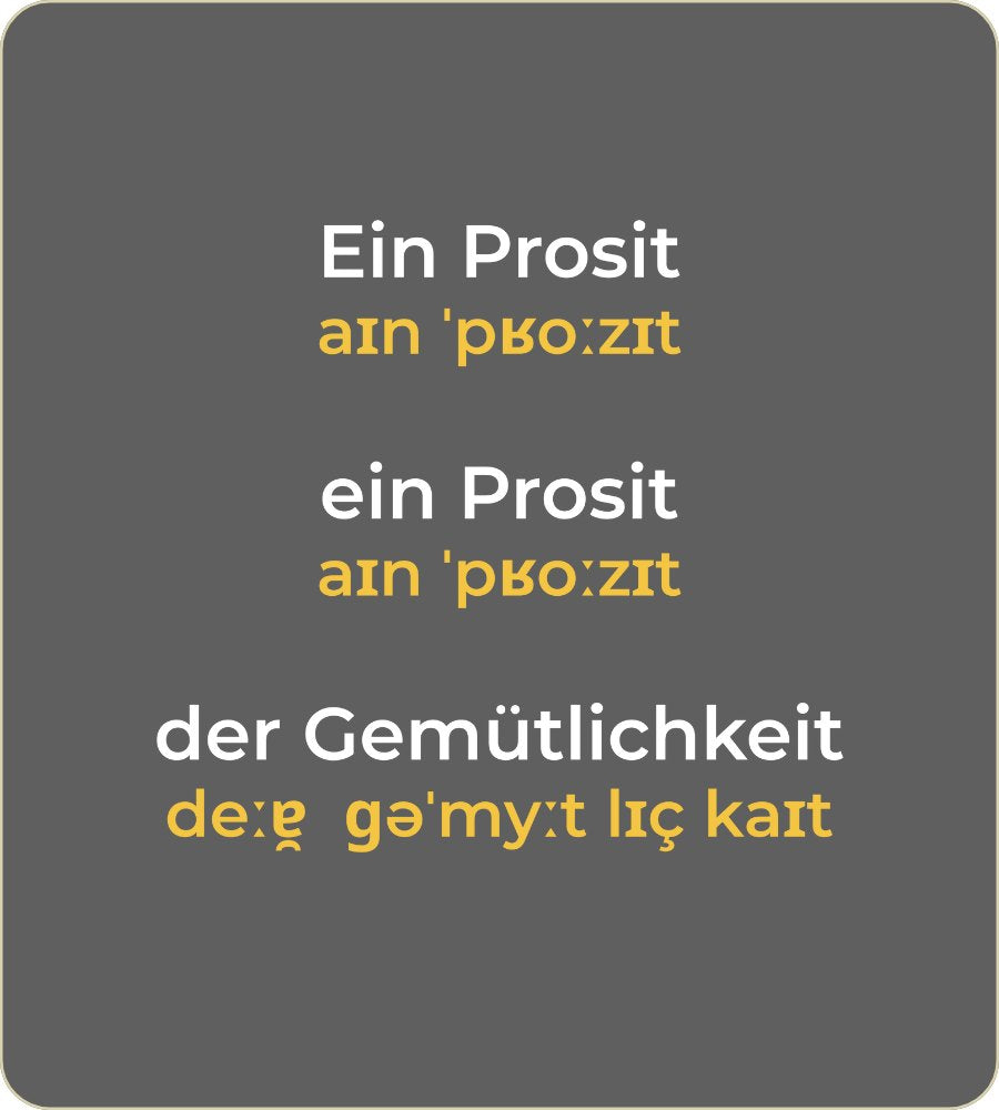 T-Shirt "Ein Prosit der Gemütlichkeit" mit internationaler Lautschrift - Anthrazit (unisex)