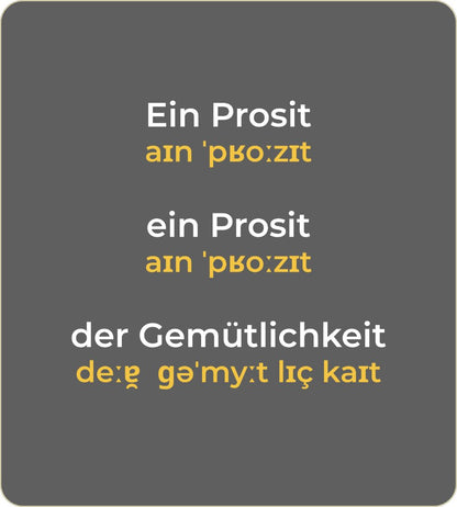 T-Shirt "Ein Prosit der Gemütlichkeit" mit internationaler Lautschrift - Anthrazit (unisex)